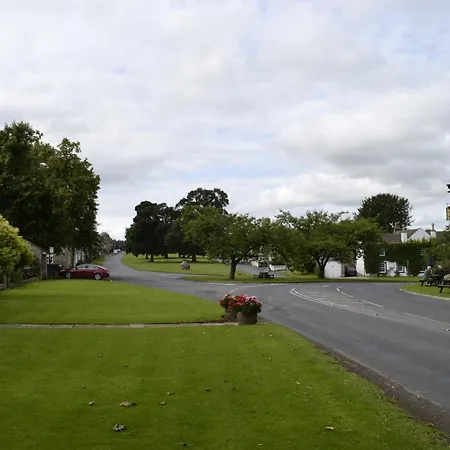 The Paddock